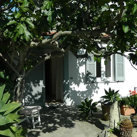 Apartamento Casa Ischia Forio di Ischia Habitación foto