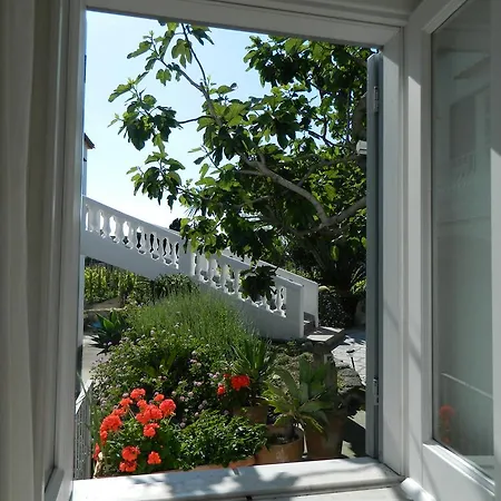 Apartamento Casa Ischia Forio di Ischia Habitación foto