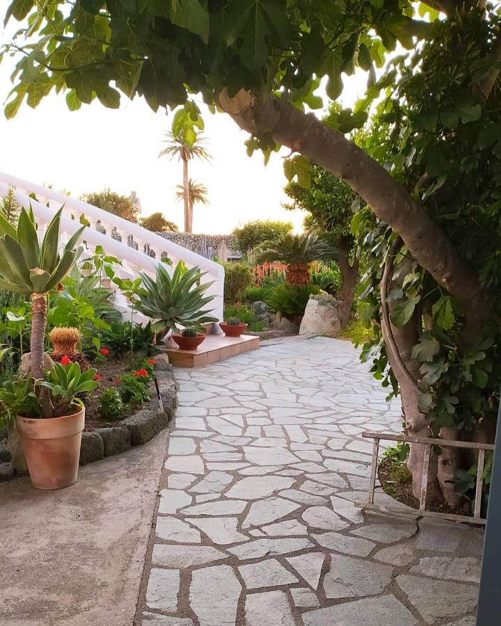 Casa Ischia Appartement Forio di Ischia