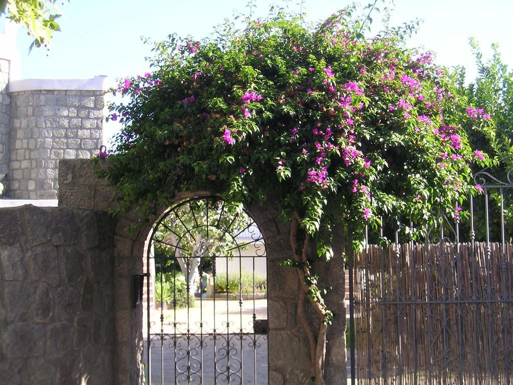 Casa Ischia * Forio di Ischia