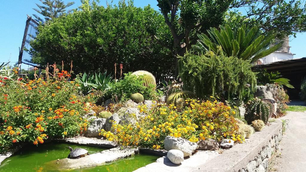 Apartment Casa Ischia Forio (Isola d'Ischia)